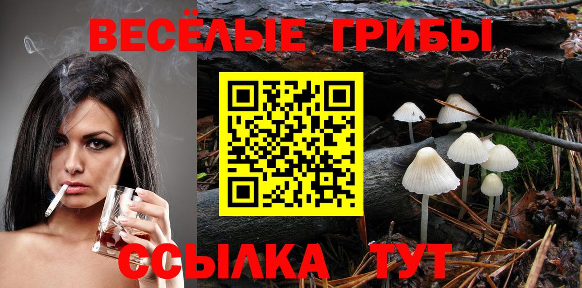 Галлюциногенные грибы Cubensis Новороссийск