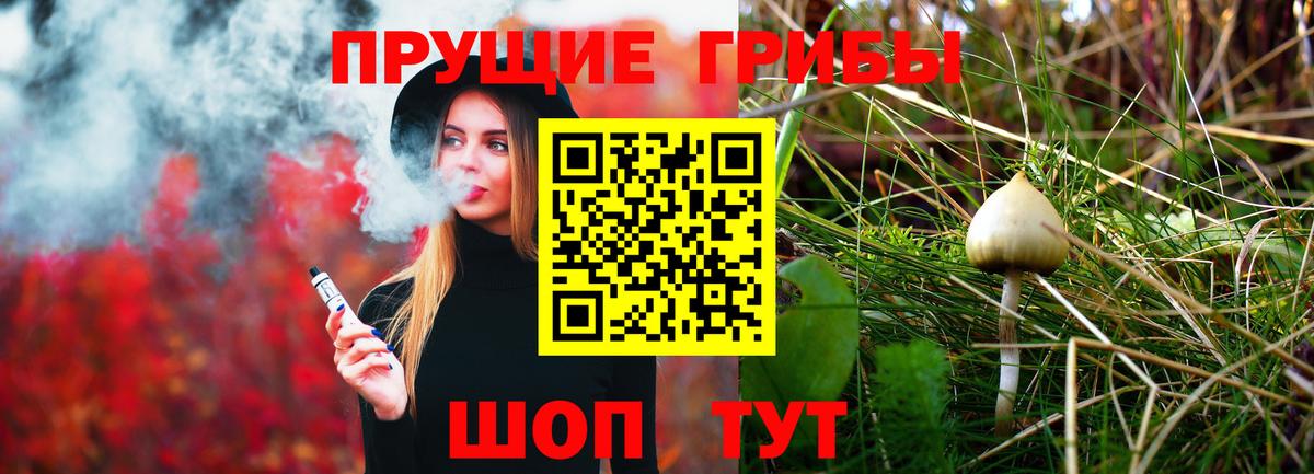 Новороссийск  Псилоцибиновые грибы Cubensis  Вход с VPN 